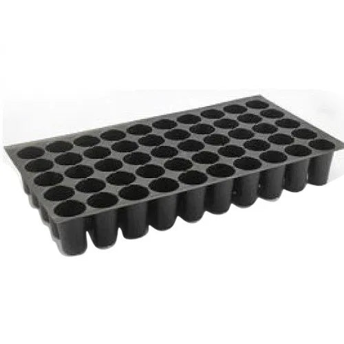 50 Cell Plug Insert Tray 10" x 20" Case