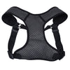 Coastal Pet Comfort Soft Sport Wrap Adjustable Dog Harness