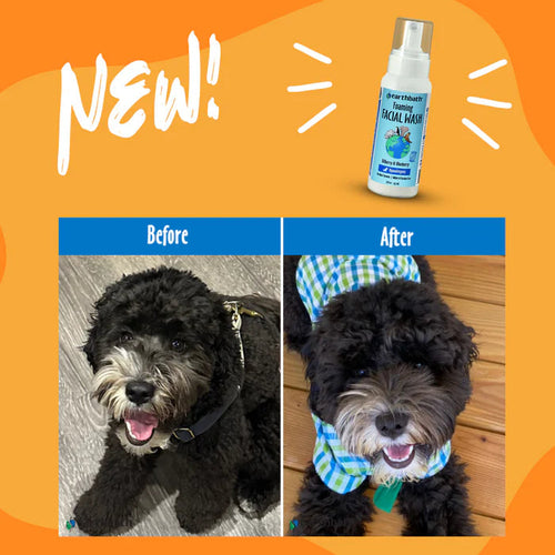 Earthbath Foaming Facial Wash for Dogs & Cats