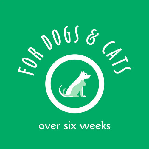 Earthbath Foaming Facial Wash for Dogs & Cats