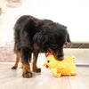 KONG Layerz Forage Hen Dog Toy