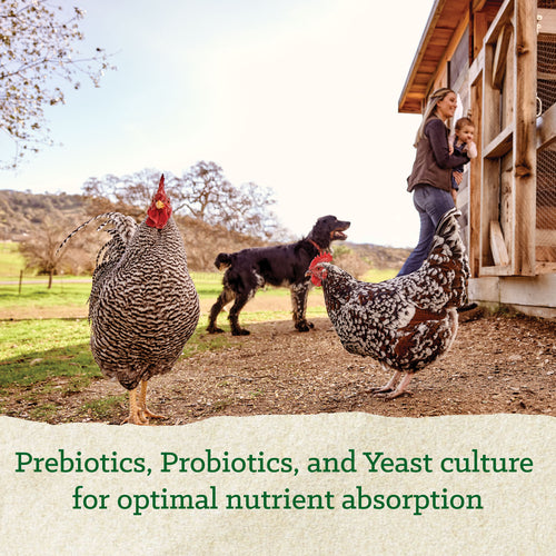 Nutrena® NatureWise® All Flock 20% Protein Pellet