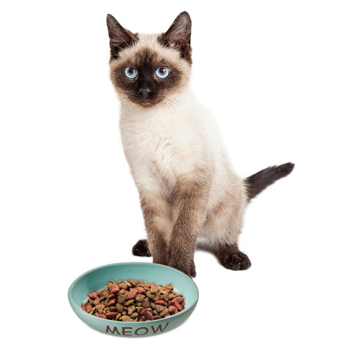 Ethical Pet Spot Portofino Dish Oval Cat Blue