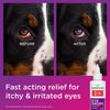 Wondercide RESCUE™ Eye Drops for Dogs & Cats